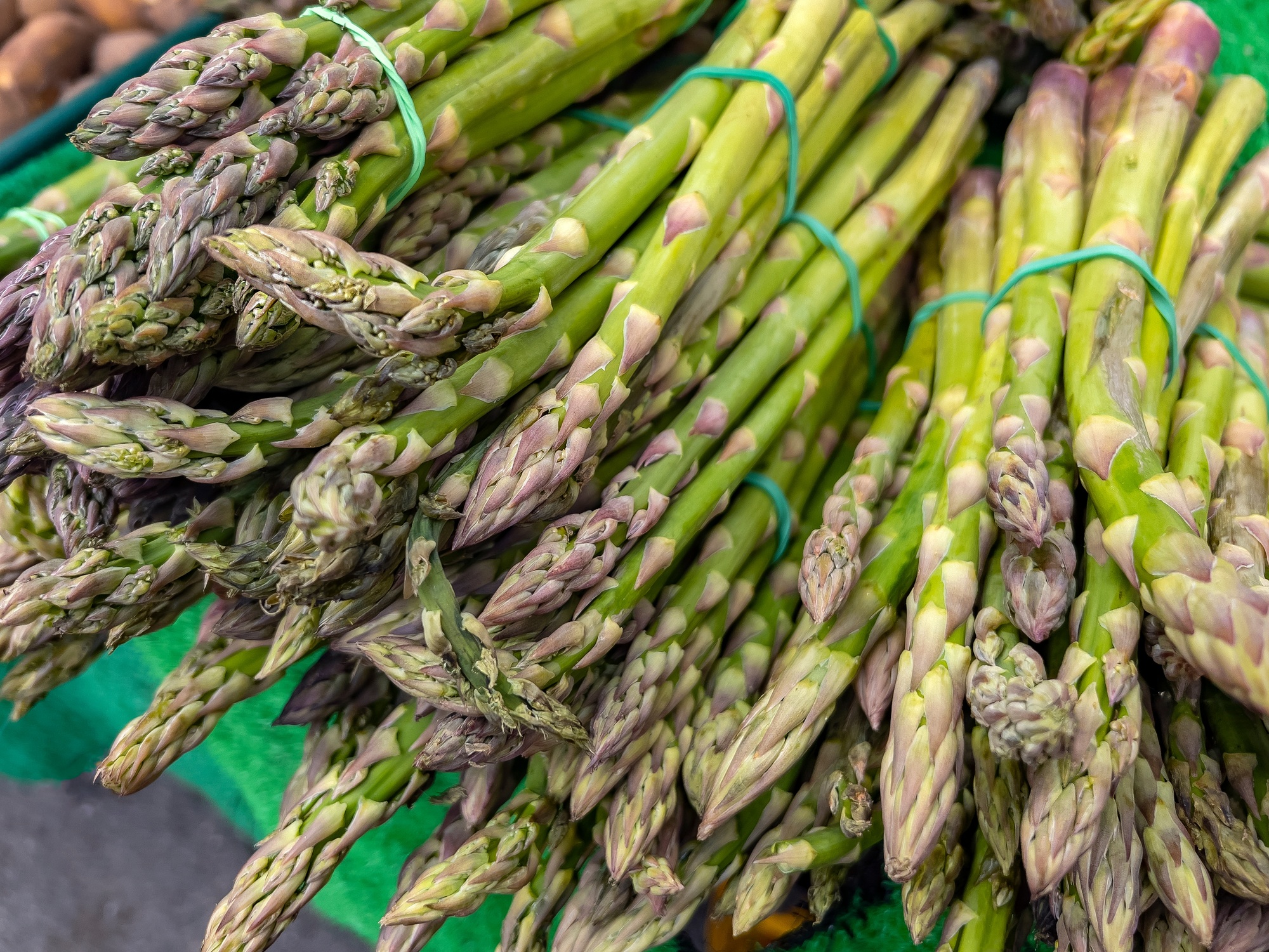 Asparagus