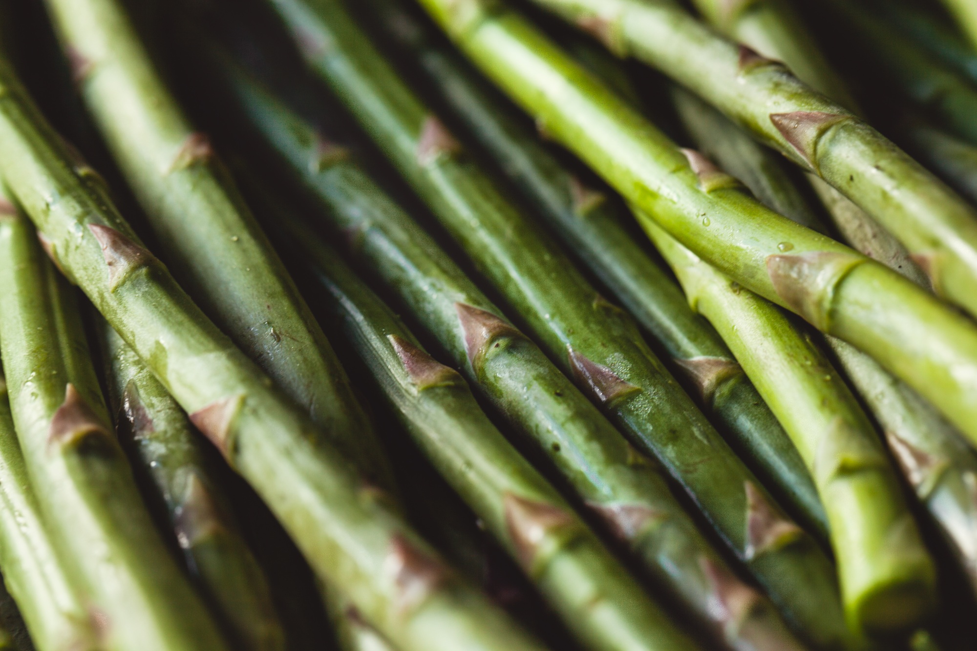 Fresh green spring asparagus. Asparagus season
