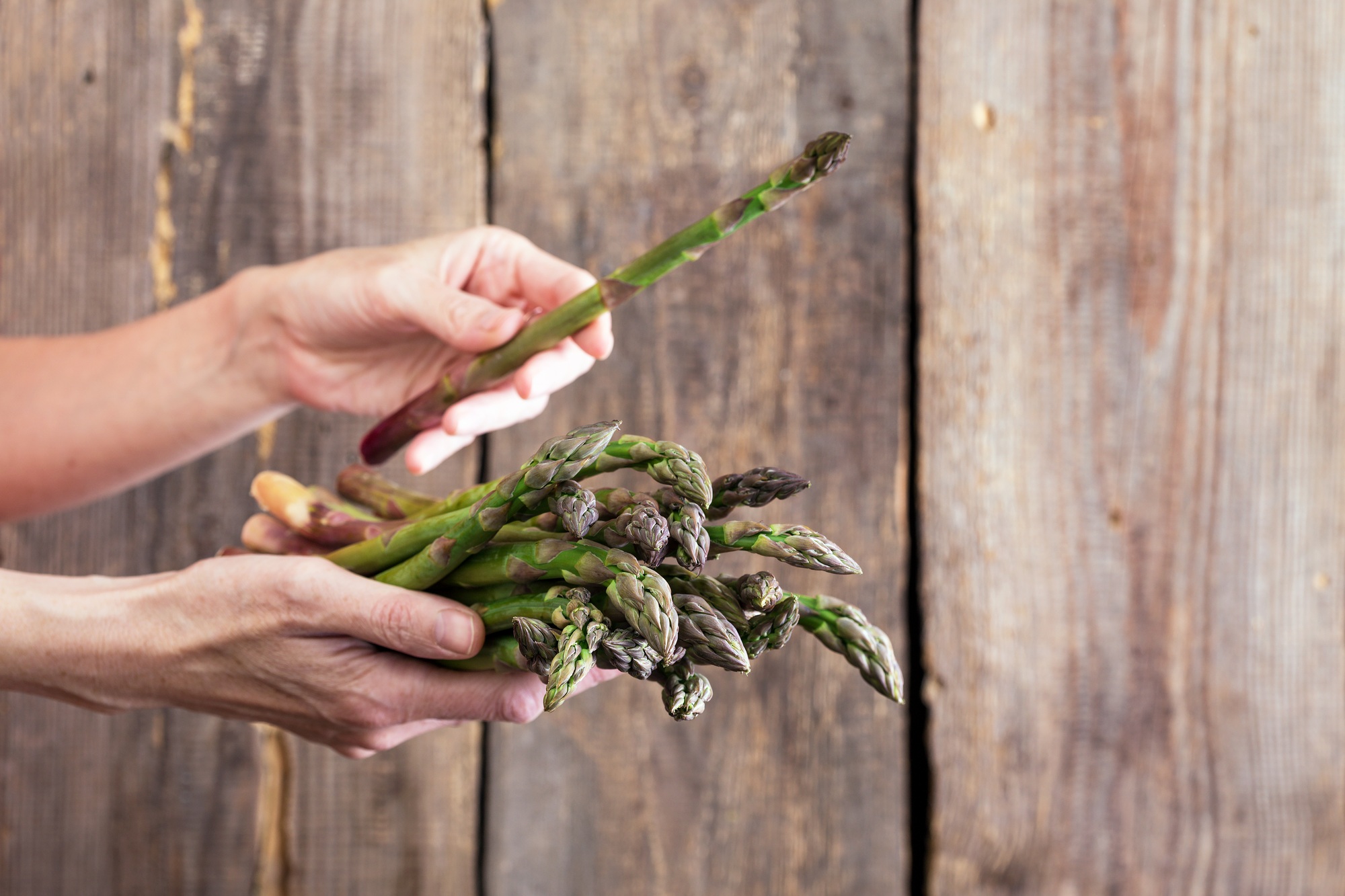 the fresh asparagus